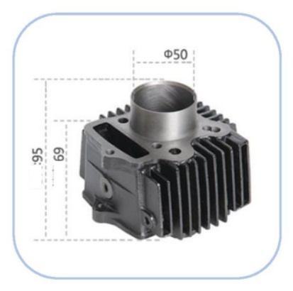 AP-C100 BIZ100
